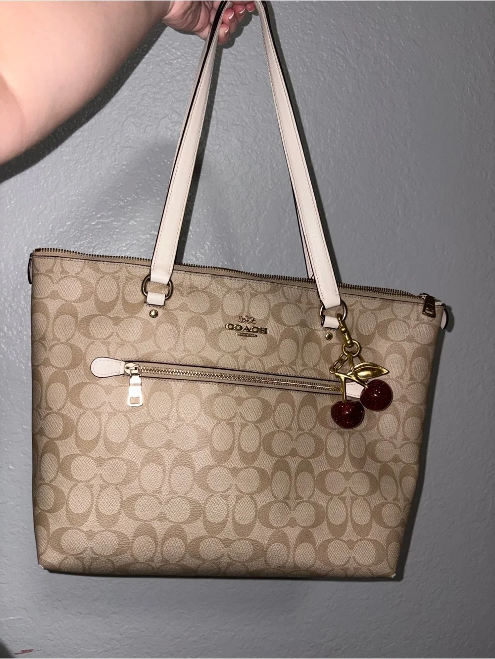 COACH Signature Canvas Tote and Wallet Set in Khaki/Chalk